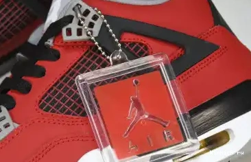 Jordan 4 Toro Retro Bravo 0605